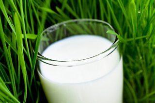 organic milk
